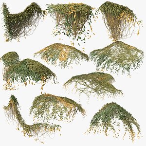 3D model ivy plant nature