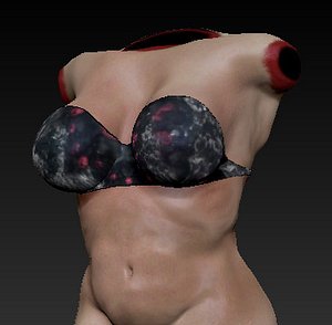Human Breast Anatomy Females 3d Model