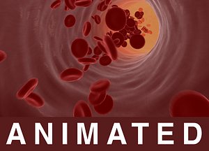 Blood vessel red blood cells animated