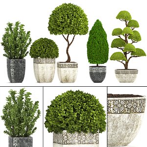 Collection of plants for the garden