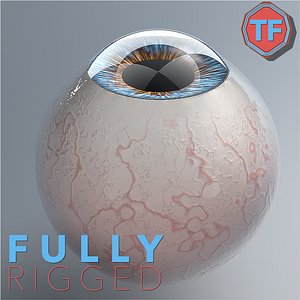 Realist Human Eye - With Rig
