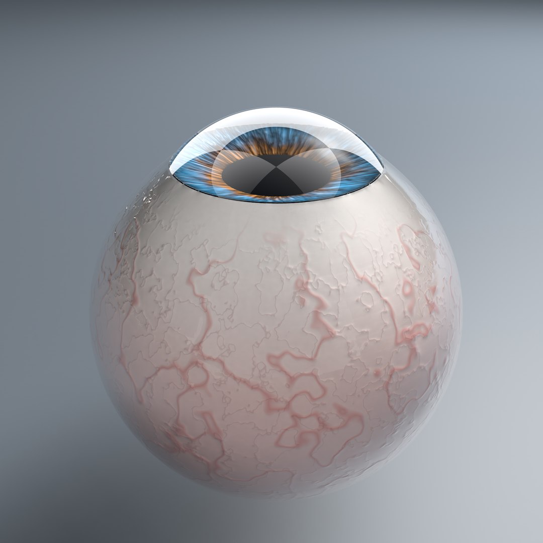3D Realist Human Eye Rig Model - TurboSquid 1188067