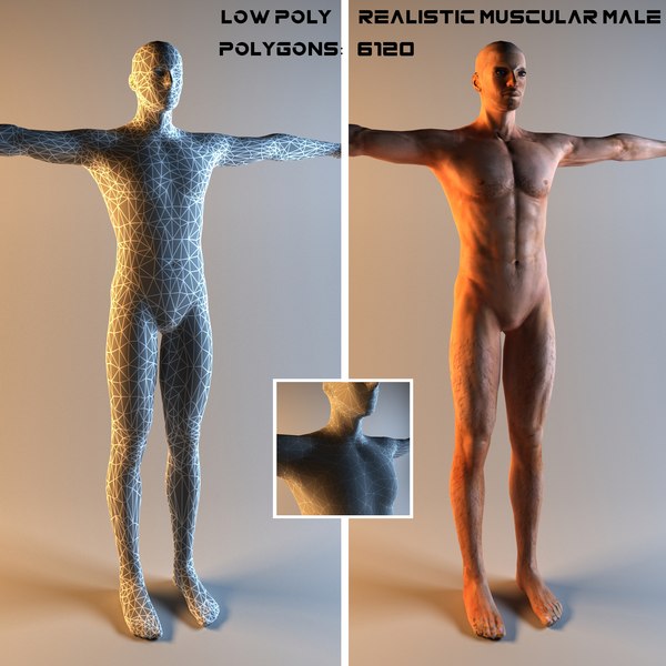 Realistic Muscular Male Low Poly Modelo 3D - TurboSquid 1711108