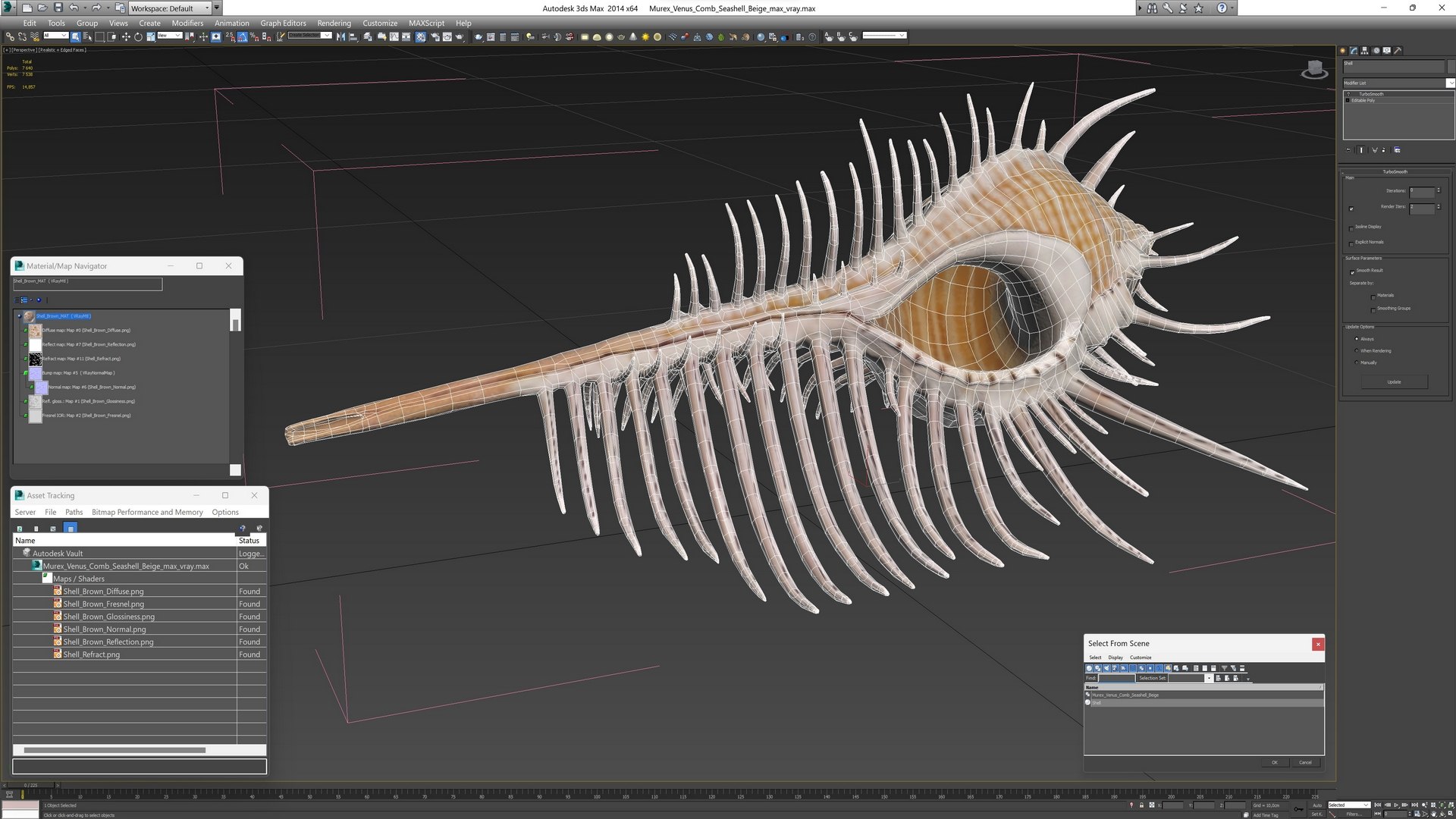 3D model Murex Venus Comb Seashell Beige https://p.turbosquid.com/ts-thumb/Uk/MBE8u3/3f/murexvenuscombseashellbeigec4dmodel015/jpg/1716319779/1920x1080/fit_q87/ecca9b3f728ac9681bf08b301cadd83d01315566/murexvenuscombseashellbeigec4dmodel015.jpg