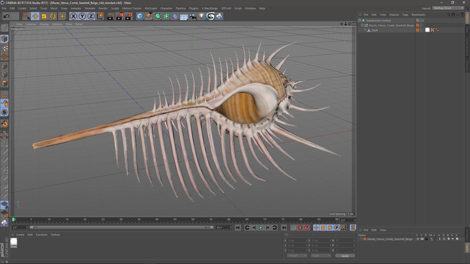 3D model Murex Venus Comb Seashell Beige https://p.turbosquid.com/ts-thumb/Uk/MBE8u3/d7/murexvenuscombseashellbeigec4dmodel023/jpg/1716319811/1920x1080/fit_q87/11aac4d14d4c745c6b934dfecf3ae70348e0f2b7/murexvenuscombseashellbeigec4dmodel023.jpg