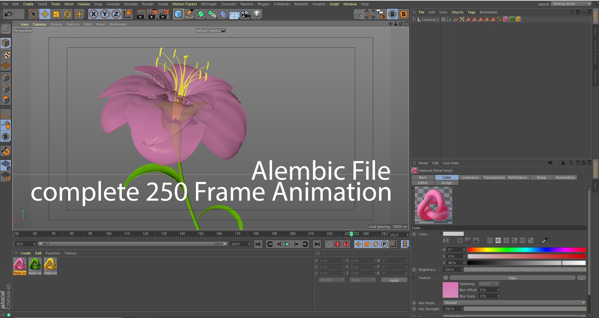 3D Flower Blooming Animation Model - TurboSquid 1618690