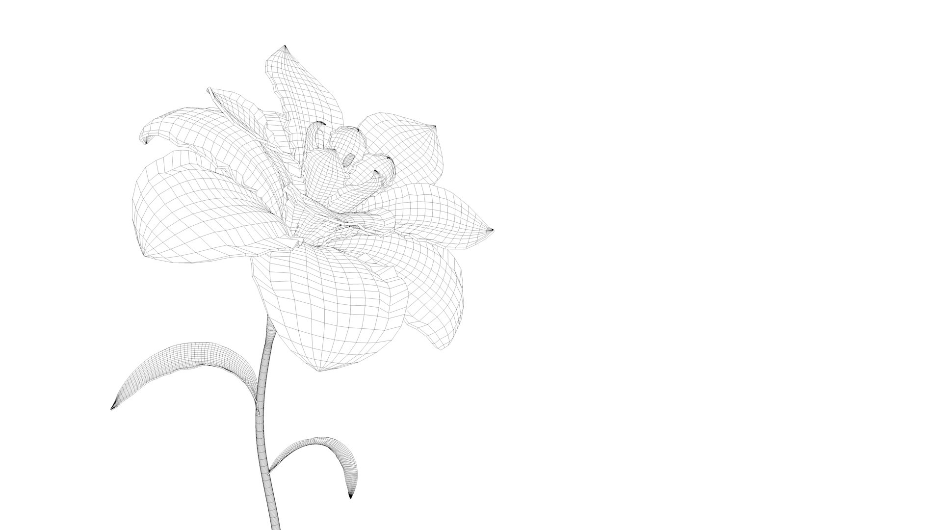 3D Flower Blooming Animation Model - TurboSquid 1618690
