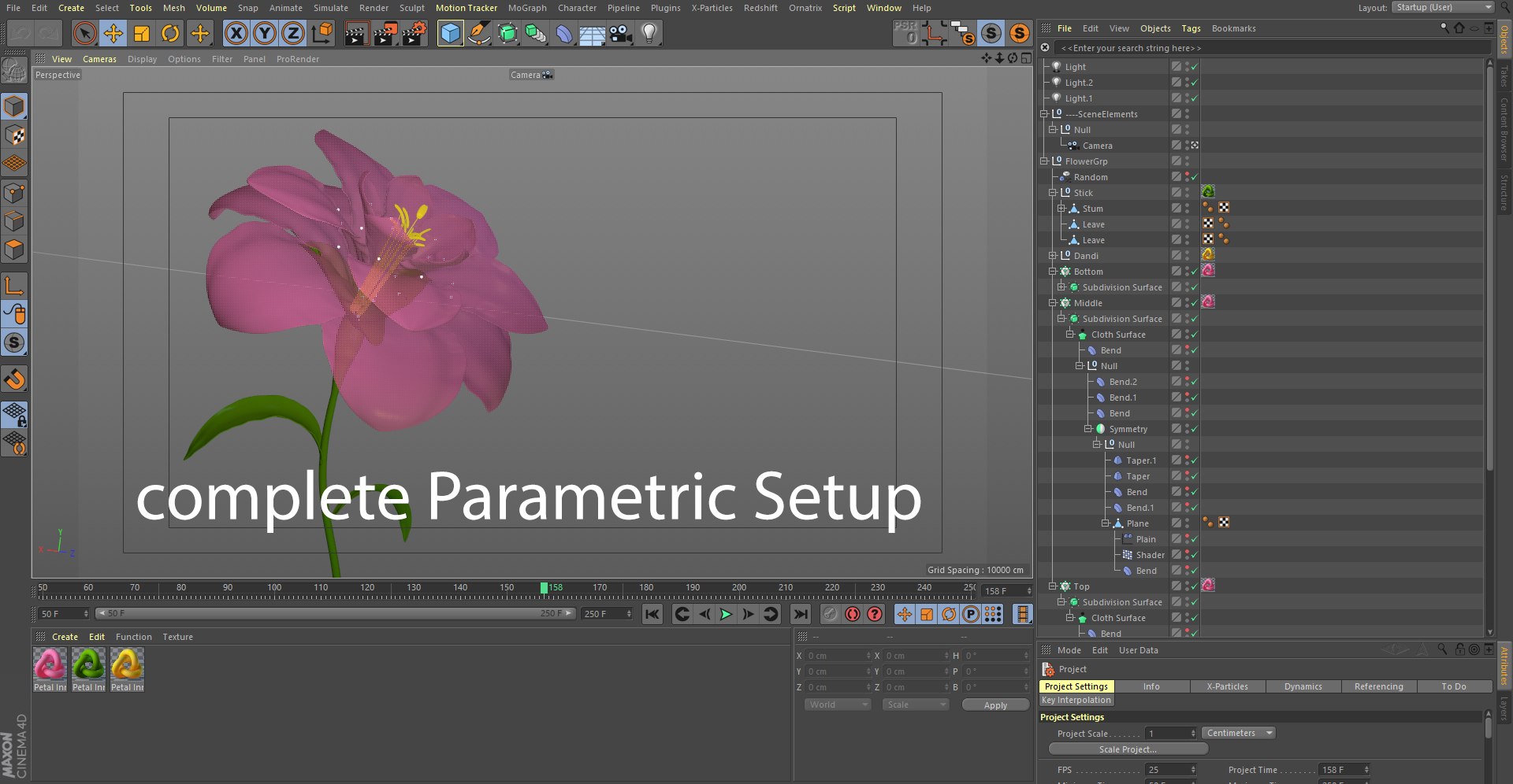3D Flower Blooming Animation Model - TurboSquid 1618690
