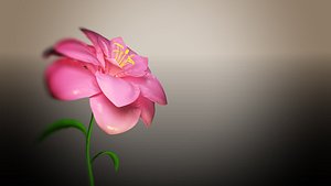3D flower blooming animation model