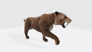Saber Toothed Cat 3D Model Ready to Print 3D model