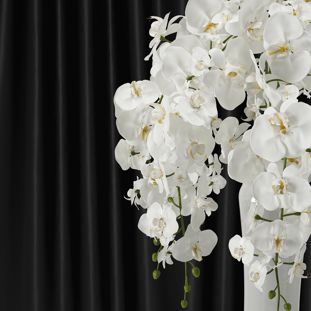 3d orchid bouquet https://p.turbosquid.com/ts-thumb/Uk/fQG7QI/Dur7rAGC/2/png/1456649595/1920x1080/fit_q87/e8f14883d51df7e7342cd5d16778ef0cb1876810/2.jpg