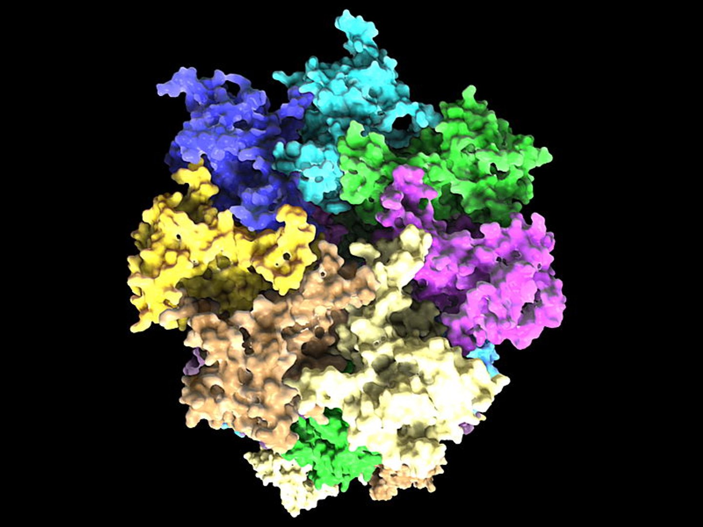 3d 20s Proteasome Model