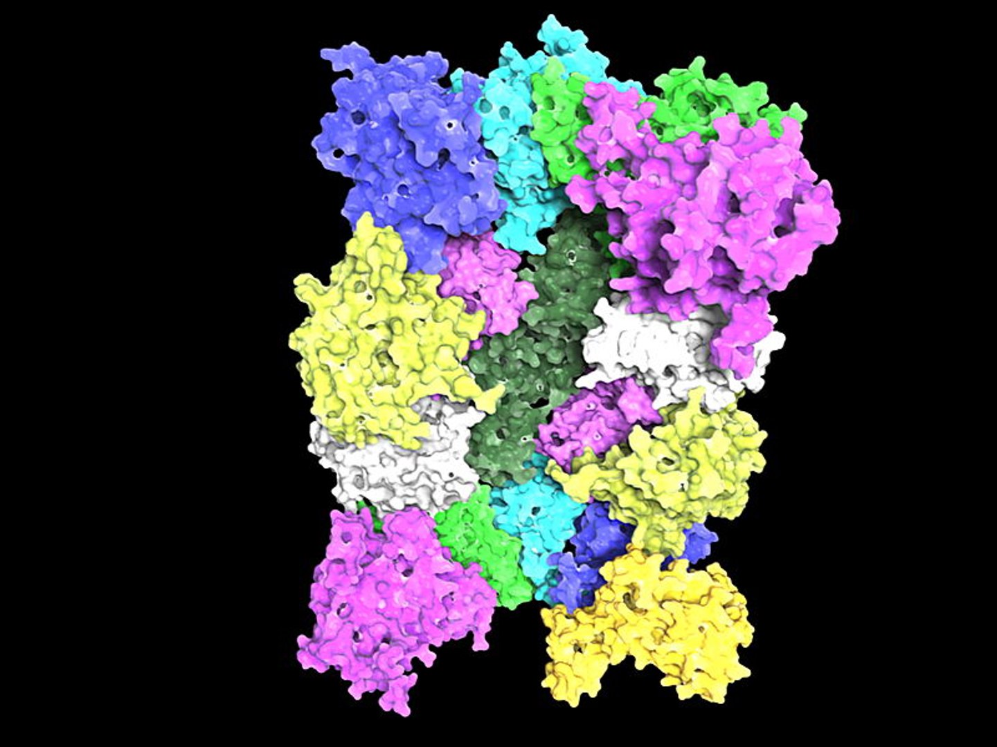 3d 20s Proteasome Model