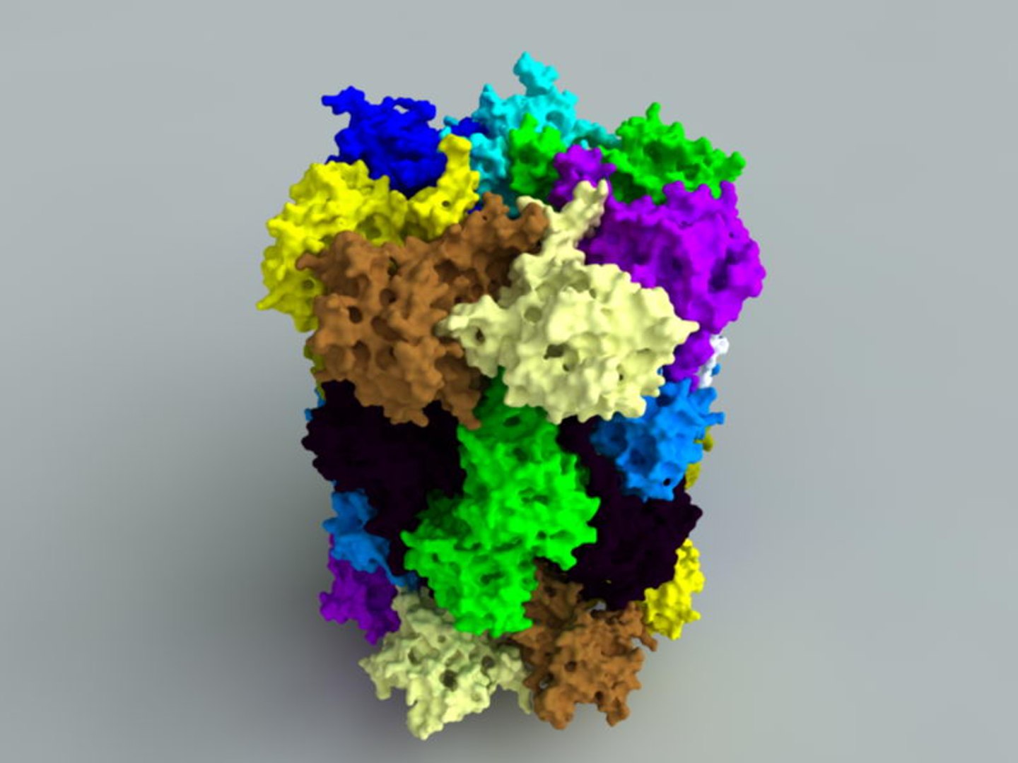 3d 20s Proteasome Model