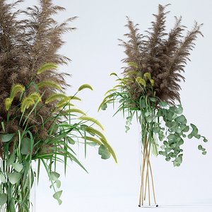 Pennisetum&Pampas grass&Eucalyptus