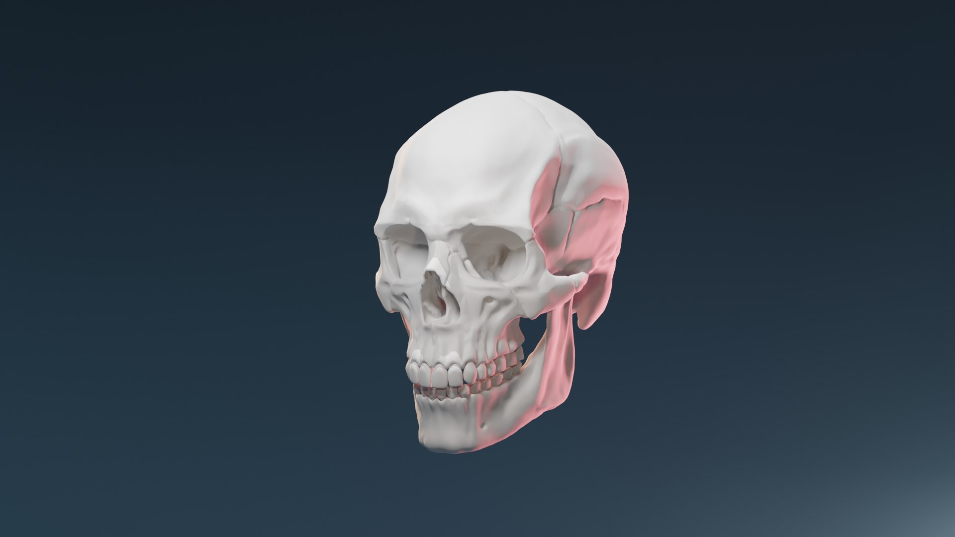 3D human skull lighting scene - TurboSquid 2123176