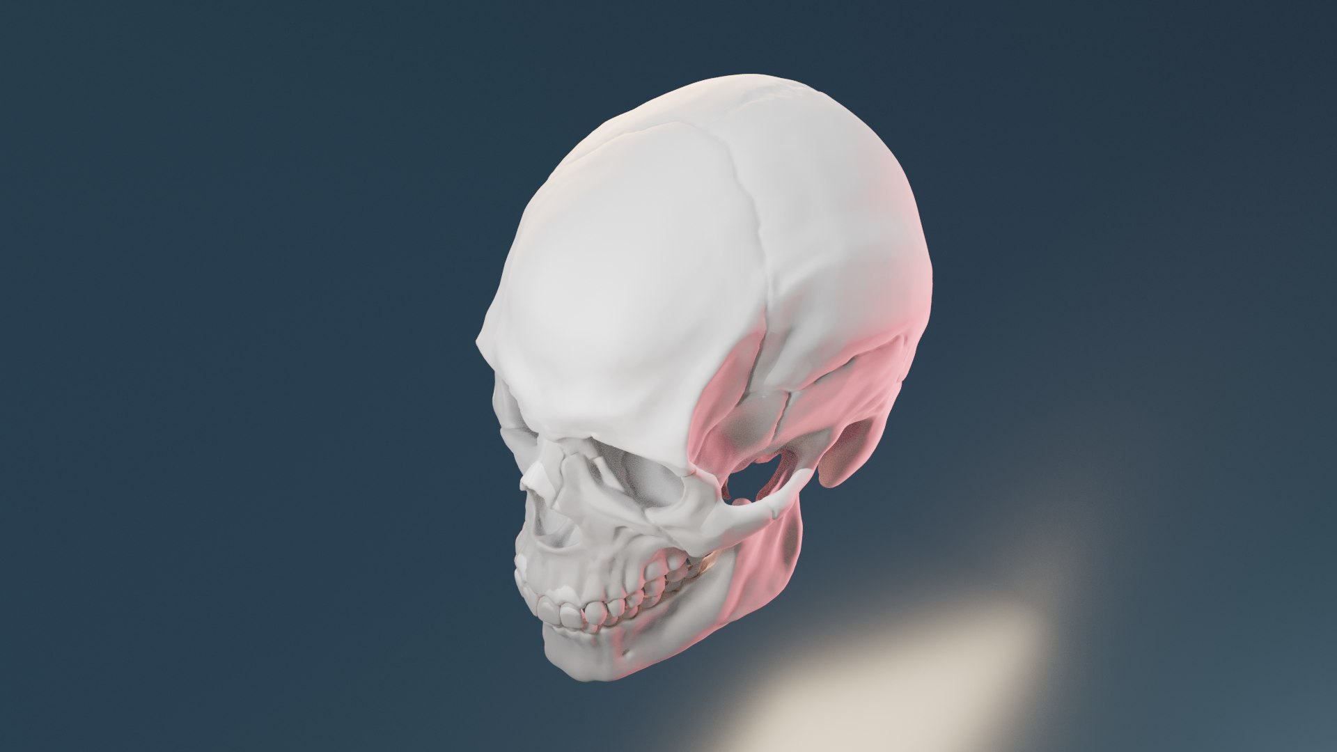 3D human skull lighting scene - TurboSquid 2123176