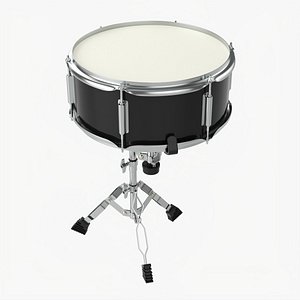 Acoustic Snare drum on stand 3D