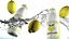 Splash Lemon Animado