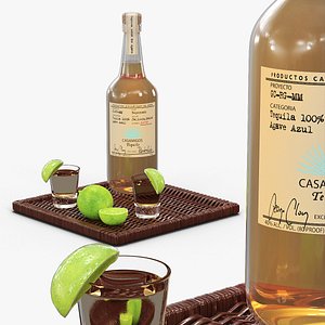 3D Casamigos Tequila Reposado with Lime and Shots model