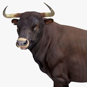 3D model bull standing pose