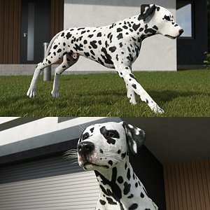 Dalmatian Dog Fur Rigged For Blender