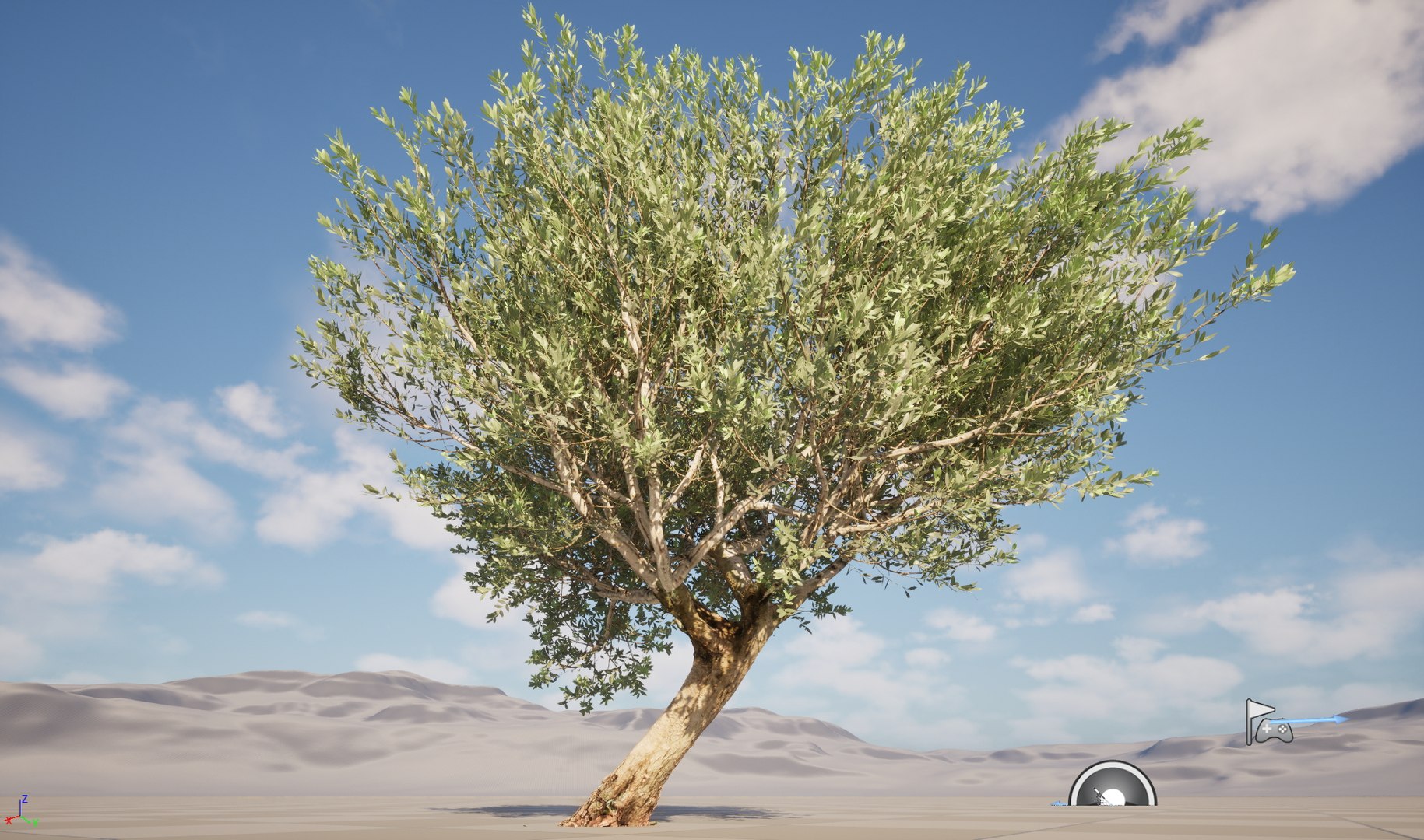 3D model Scanned Olea europaea - Common olive 12 -Highpoly low-poly https://p.turbosquid.com/ts-thumb/Ul/9K0NAu/Lt/olea_europaea_pack_12_nanite2/jpg/1791118813/1920x1080/fit_q87/2f846d18feb6cd7c806ee6aaf1a81f25697cfe08/olea_europaea_pack_12_nanite2.jpg