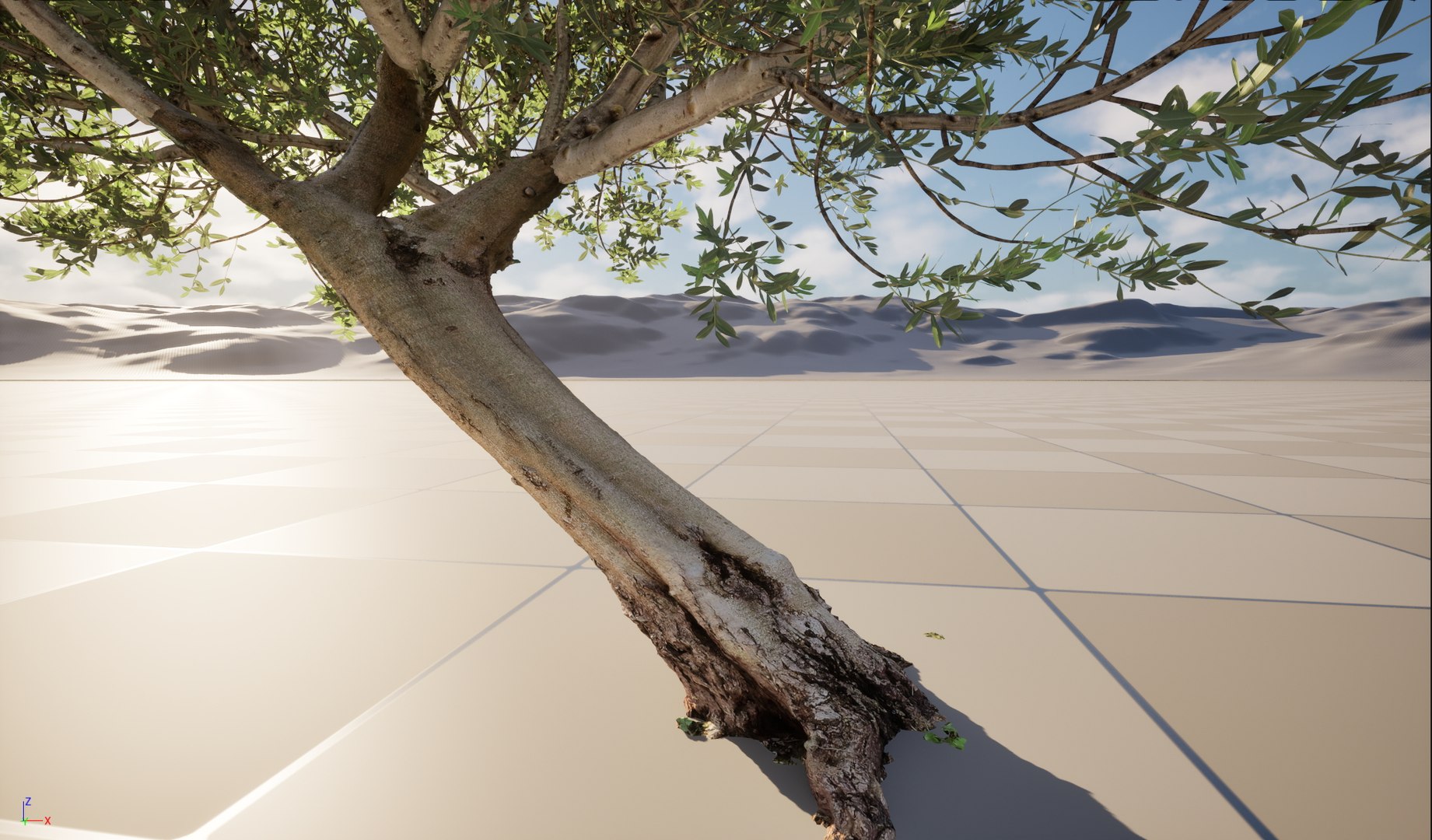 3D model Scanned Olea europaea - Common olive 12 -Highpoly low-poly https://p.turbosquid.com/ts-thumb/Ul/9K0NAu/Yw/olea_europaea_pack_12_nanite3/jpg/1791118816/1920x1080/fit_q87/3b1668b105fbff341b8740ceefc72666f8f25af1/olea_europaea_pack_12_nanite3.jpg