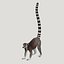 Lemur
