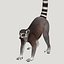 Lemur