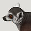 Lemur