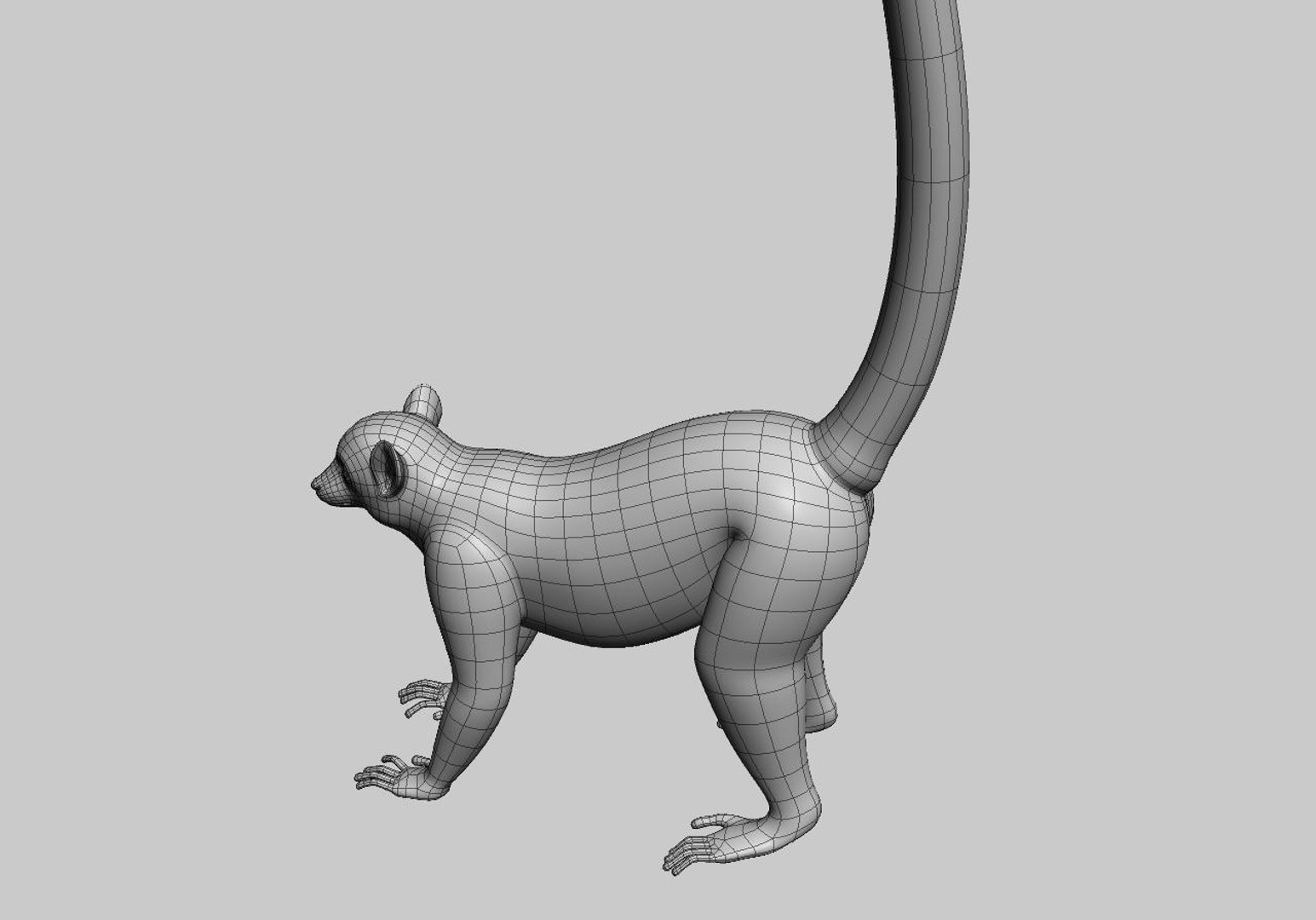 3d lemur model https://p.turbosquid.com/ts-thumb/Ul/R1aWB4/bI9Iaqvx/screenshot2/jpg/1435269634/1920x1080/fit_q87/5955780c26c030677484b7a838f6eebd3ffaac8e/screenshot2.jpg