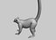 Lemur