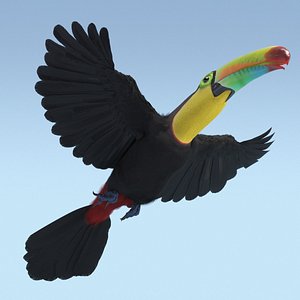 Keel Billed Toucan Rigged