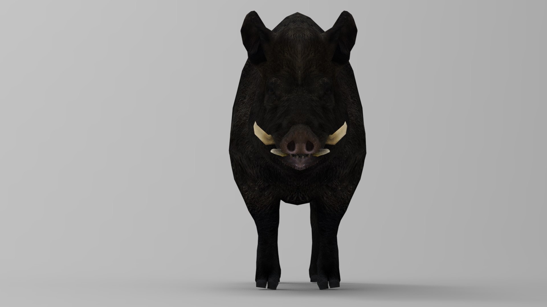 modelo 3d Boar - Animated - TurboSquid 2110152