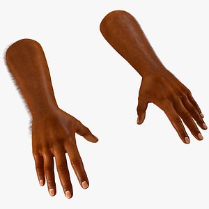 Realistic Human Male Hands Fur 3D model