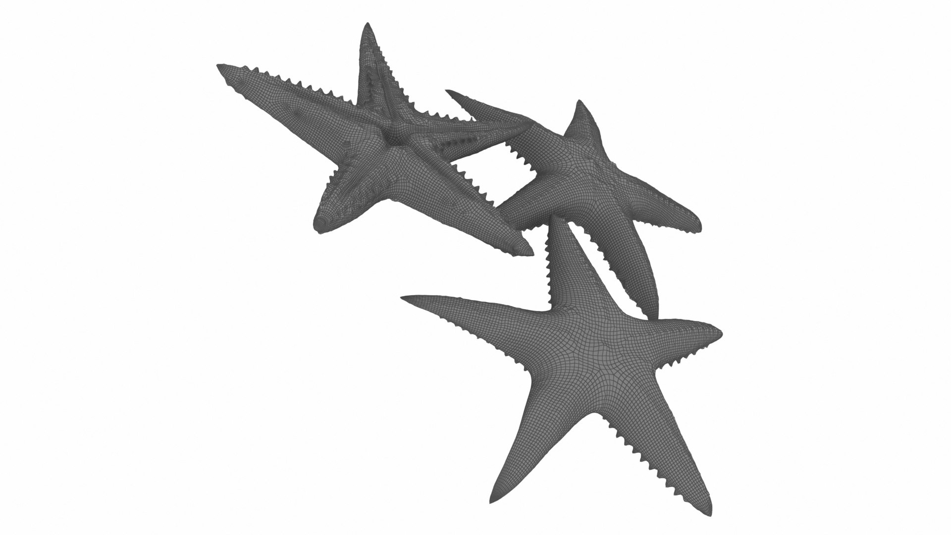 jellyfish sea horse star 3D model https://p.turbosquid.com/ts-thumb/Ul/na9wlj/24KW7Kwu/08/jpg/1577120261/1920x1080/fit_q87/8a7da6aeaf587630a4664448d101bf829efa0fa4/08.jpg