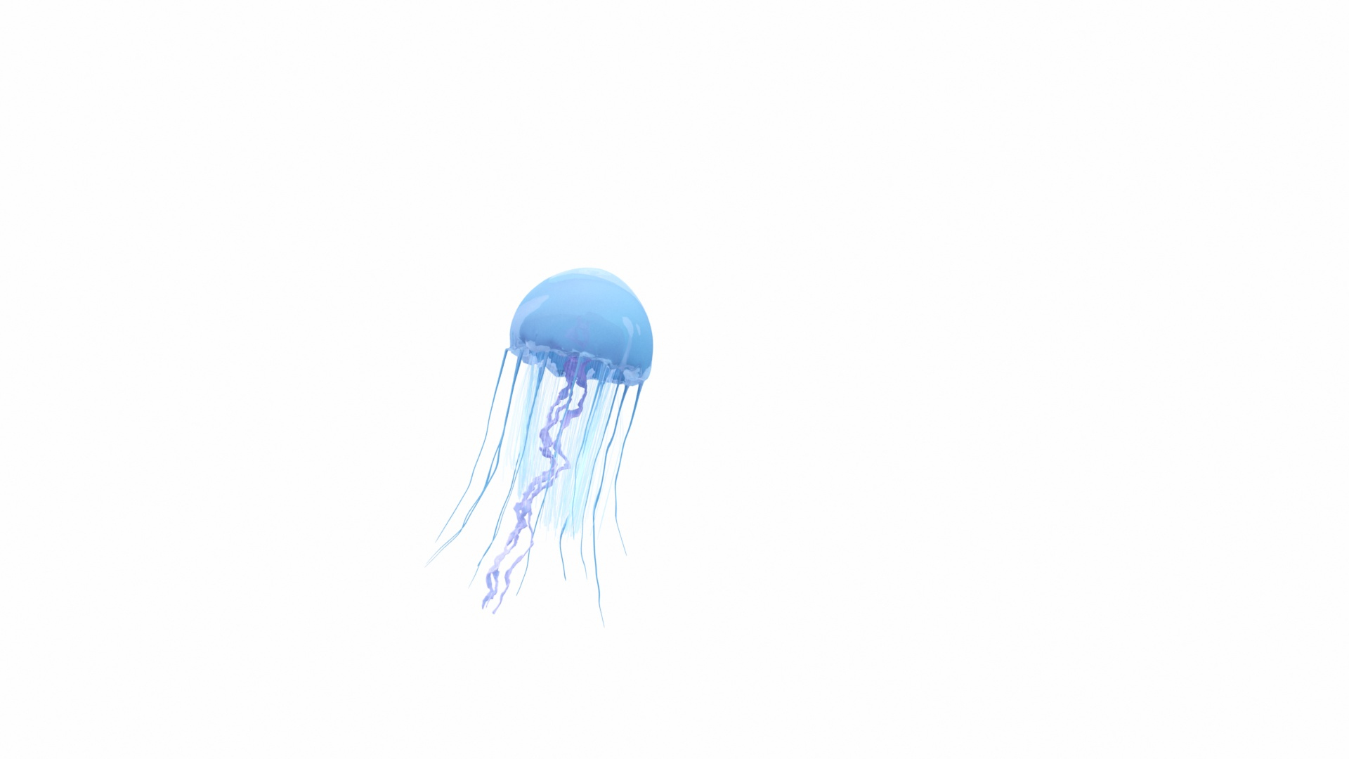 jellyfish sea horse star 3D model https://p.turbosquid.com/ts-thumb/Ul/na9wlj/IClYJf5i/images/jpg/1577121143/1920x1080/turn_fit_q99/b0ddaf6a6854a22009b05e3a8193538c1d5136ac/images-1.jpg