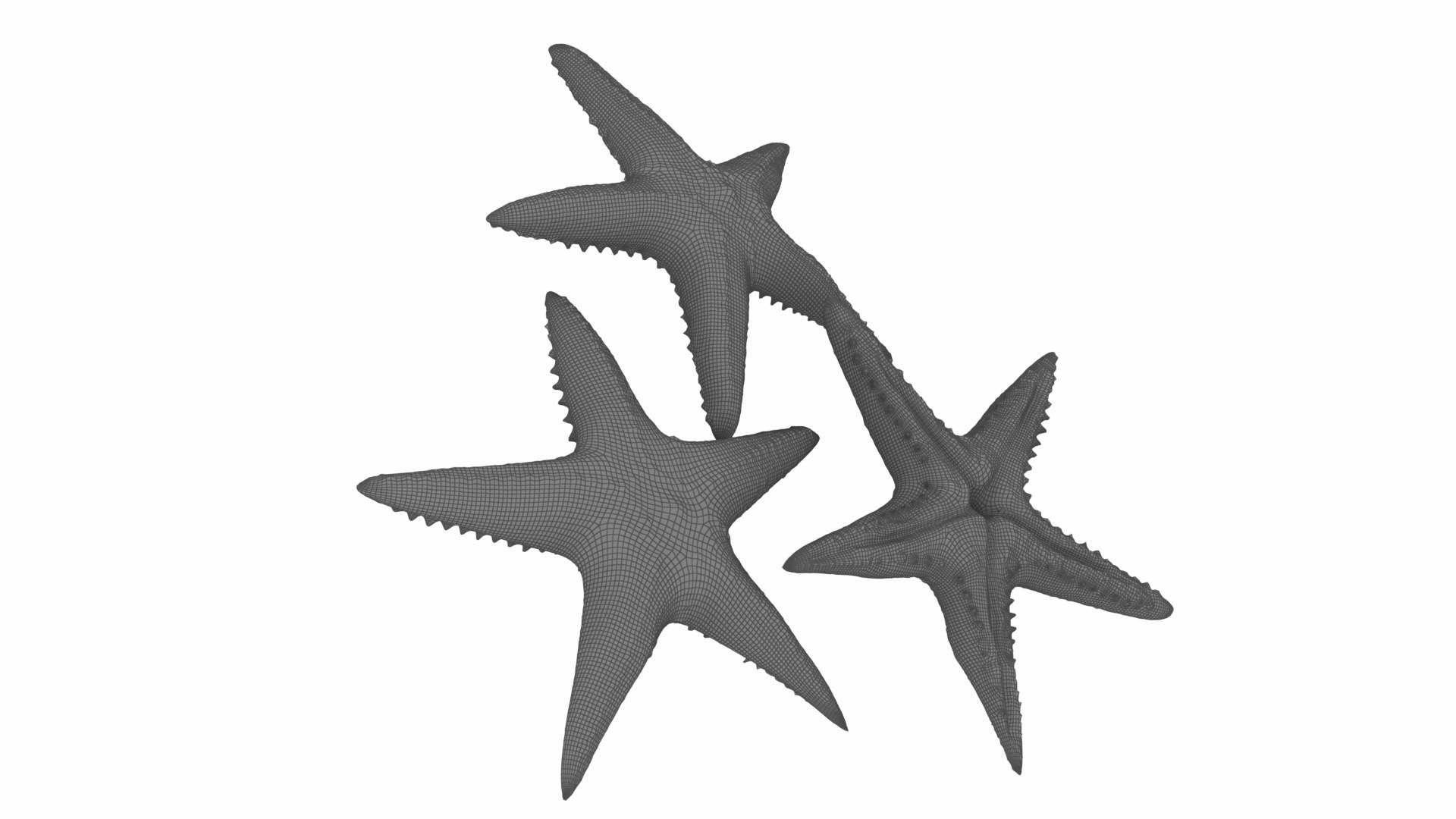 jellyfish sea horse star 3D model https://p.turbosquid.com/ts-thumb/Ul/na9wlj/LCZU0aZQ/06/jpg/1577120260/1920x1080/fit_q87/2204ee04254f8f5bc27b62001504b5d69a7a7ded/06.jpg
