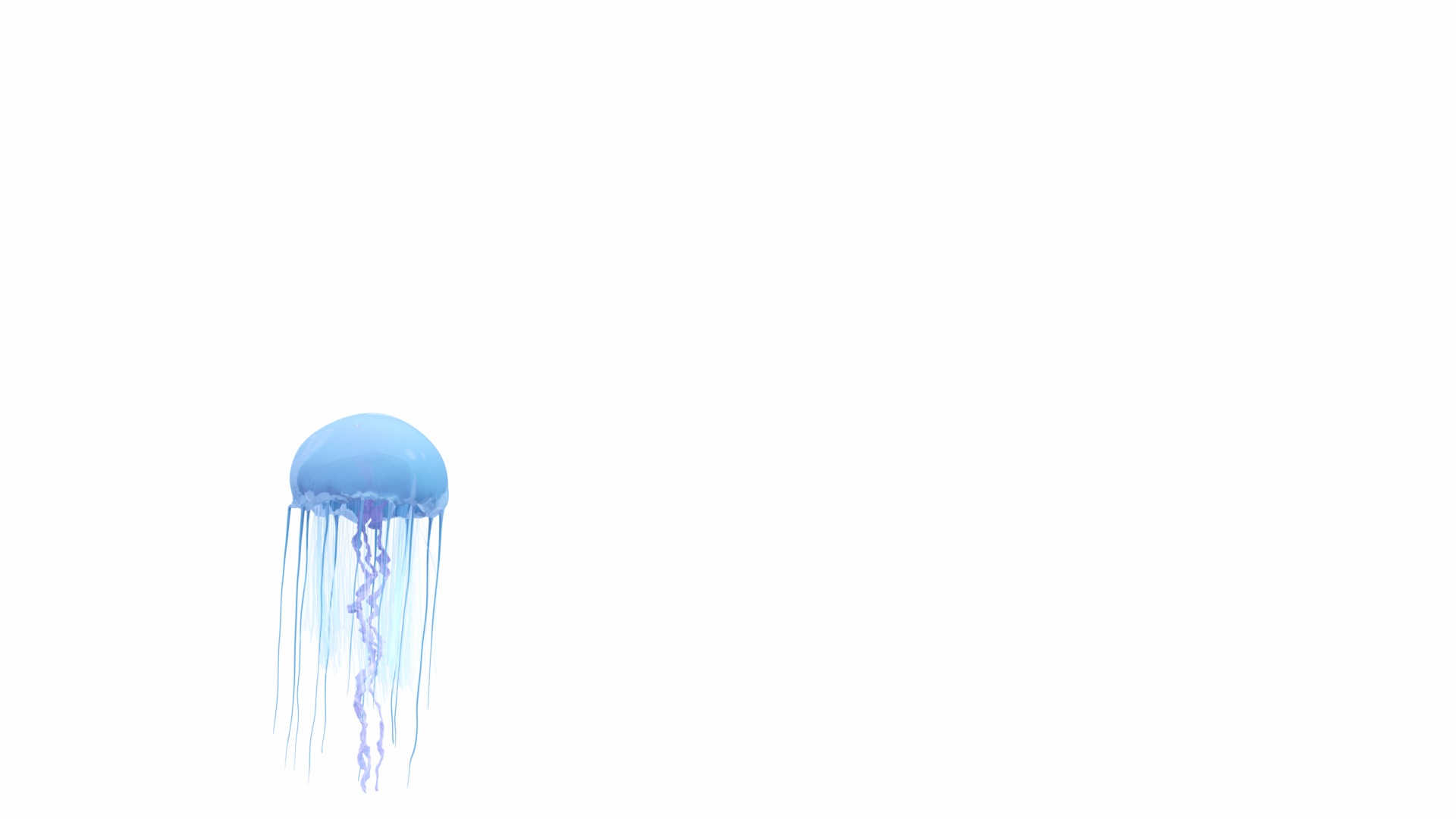 jellyfish sea horse star 3D model https://p.turbosquid.com/ts-thumb/Ul/na9wlj/UfY4mwQ1/images/jpg/1577120662/1920x1080/turn_fit_q99/e3d77ff1ee16a719228f1805962118cf04e28de9/images-1.jpg