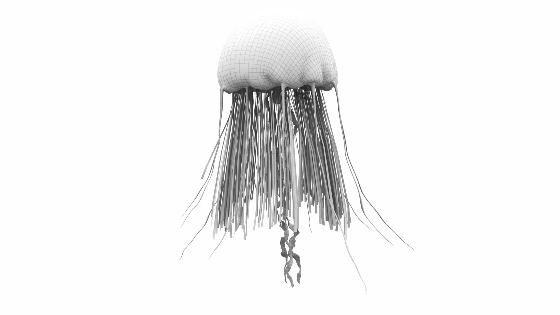 jellyfish sea horse star 3D model https://p.turbosquid.com/ts-thumb/Ul/na9wlj/at20yLqR/w3/jpg/1577120326/1920x1080/fit_q87/e6cb92b1de936d9b0119d0f6e03dddbfec54104c/w3.jpg