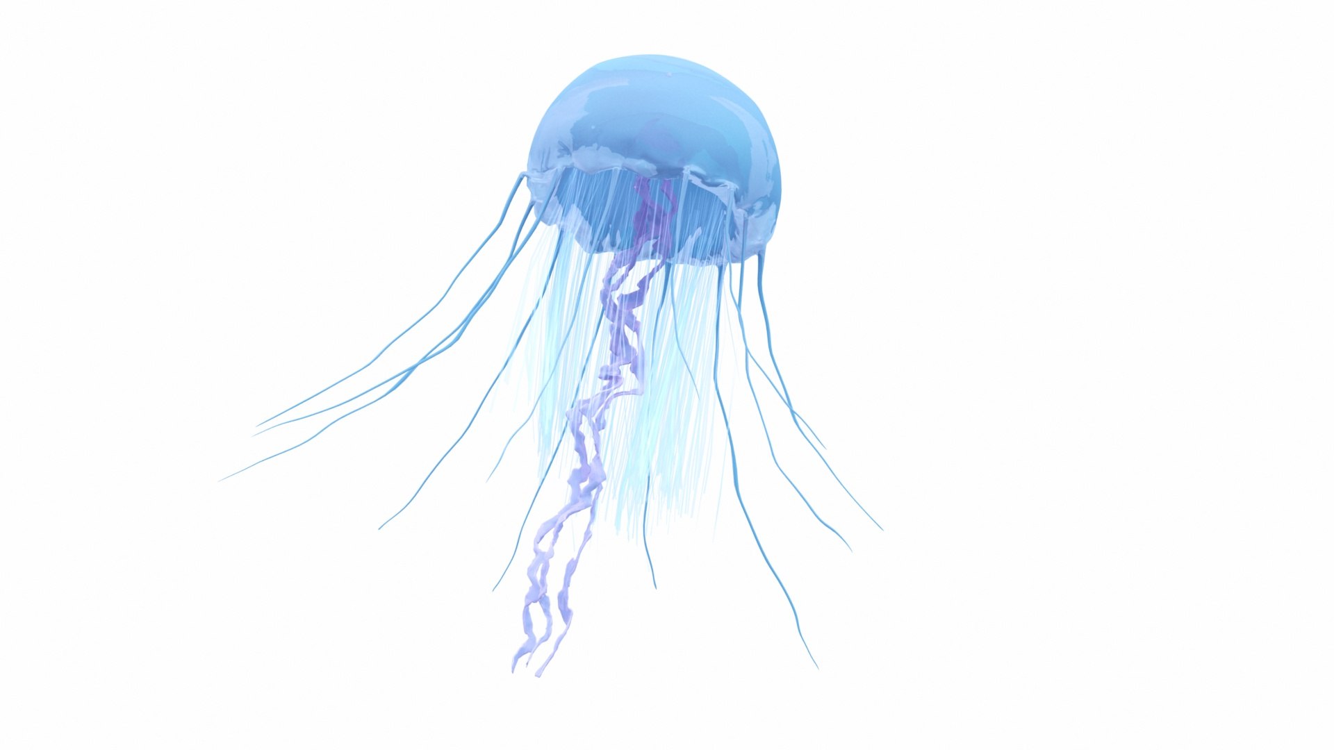 jellyfish sea horse star 3D model https://p.turbosquid.com/ts-thumb/Ul/na9wlj/fdoMpKTo/020066/jpg/1577120326/1920x1080/fit_q87/ebfe100276525553d1add464e15d4a164d851e0a/020066.jpg
