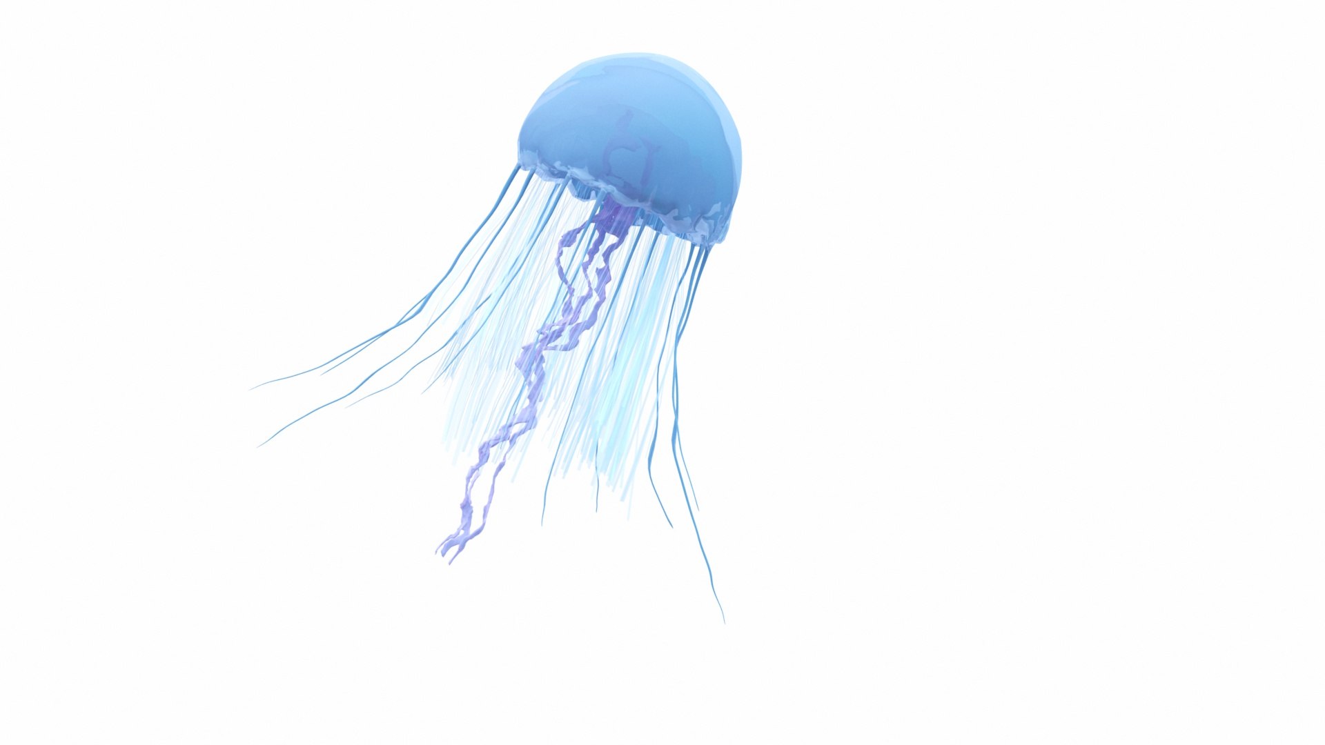 jellyfish sea horse star 3D model https://p.turbosquid.com/ts-thumb/Ul/na9wlj/gS2rLAFV/040122/jpg/1577120326/1920x1080/fit_q87/13701d21803b36311f6c4eff4442a42f78ae4c91/040122.jpg