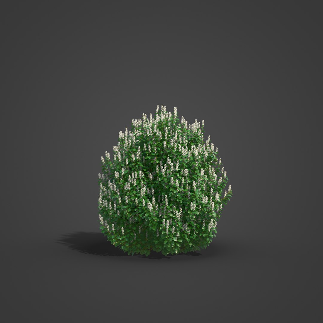 EUROPE 1-2 3D model https://p.turbosquid.com/ts-thumb/Um/1D2HMa/Bg/eu12_01/jpg/1624304549/1920x1080/fit_q87/392570b8ca539be9a428c52339548852b99f7633/eu12_01.jpg
