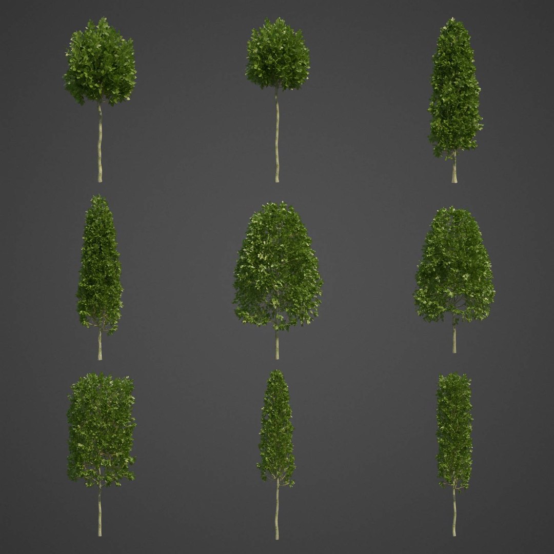 EUROPE 1-2 3D model https://p.turbosquid.com/ts-thumb/Um/1D2HMa/Gz/ls06full_01/jpg/1613073562/1920x1080/fit_q87/ded72b8a6f8eb261e3d1f67ce2d644a257c22a59/ls06full_01.jpg
