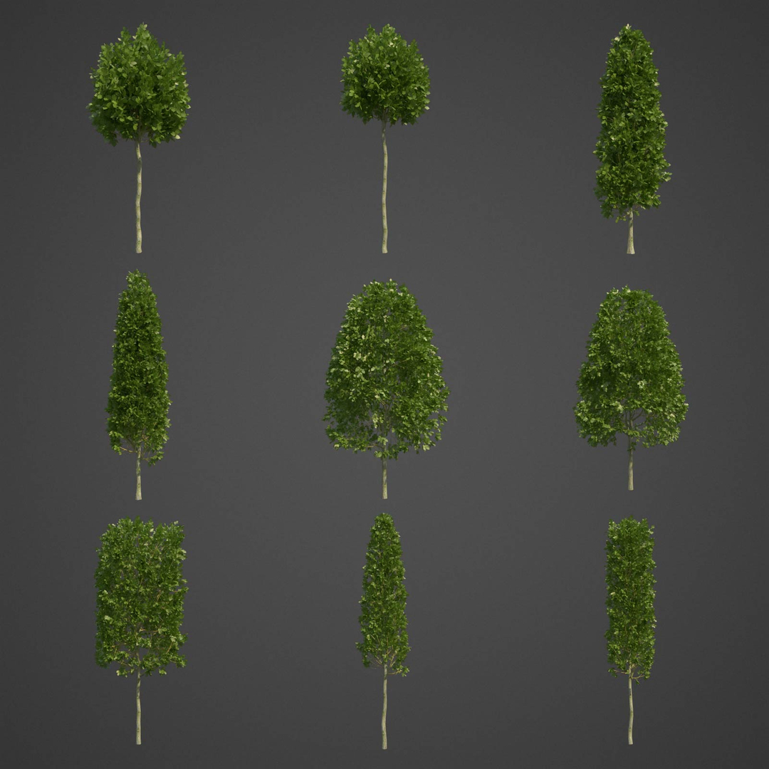 EUROPE 1-2 3D model https://p.turbosquid.com/ts-thumb/Um/1D2HMa/Yp/ls06full/jpg/1613072109/1920x1080/turn_fit_q99/8a0021a92d67148ce6c9a4c2445960f4db8b5a64/ls06full-1.jpg