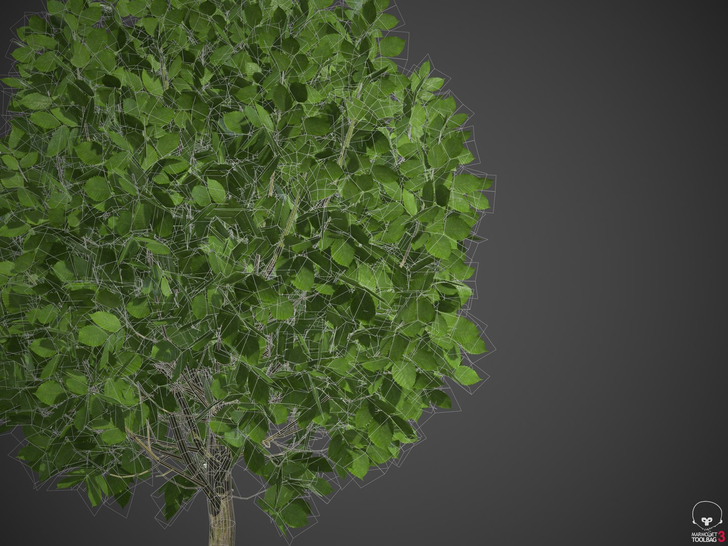 EUROPE 1-2 3D model https://p.turbosquid.com/ts-thumb/Um/1D2HMa/Yr/screenshot000/png/1610557149/1920x1080/fit_q87/52065dcf1502b3c2c70409b74ad731988b9abf28/screenshot000.jpg