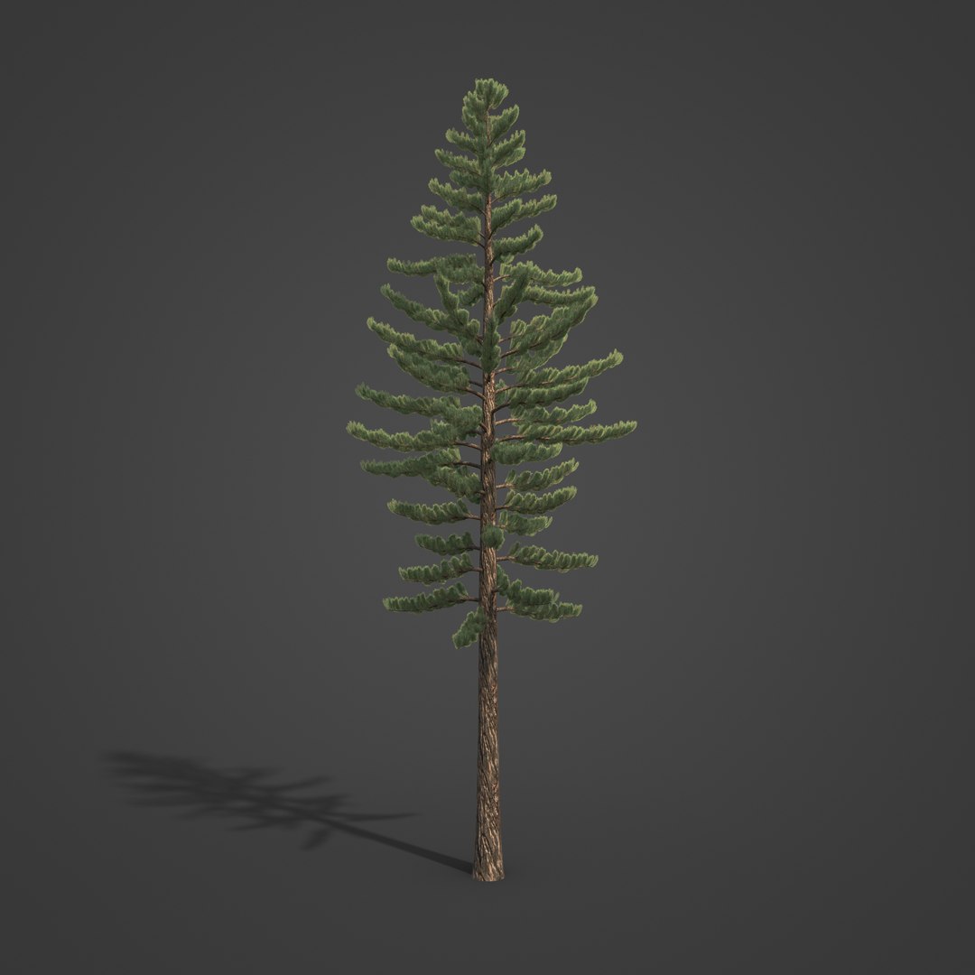 EUROPE 1-2 3D model https://p.turbosquid.com/ts-thumb/Um/1D2HMa/yS/bl12_01/jpg/1624299648/1920x1080/fit_q87/9eff375aedc04f4d335c4a890a39bfc9439f3913/bl12_01.jpg