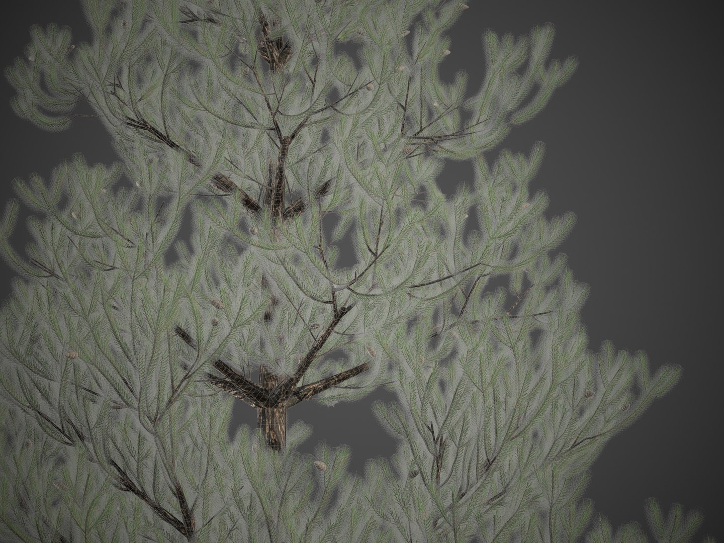EUROPE 1-2 3D model https://p.turbosquid.com/ts-thumb/Um/1D2HMa/zP/screenshot000/jpg/1624299649/1920x1080/fit_q87/cf70dfc2869208afc40acbd0a28d02e37f2c42c2/screenshot000.jpg