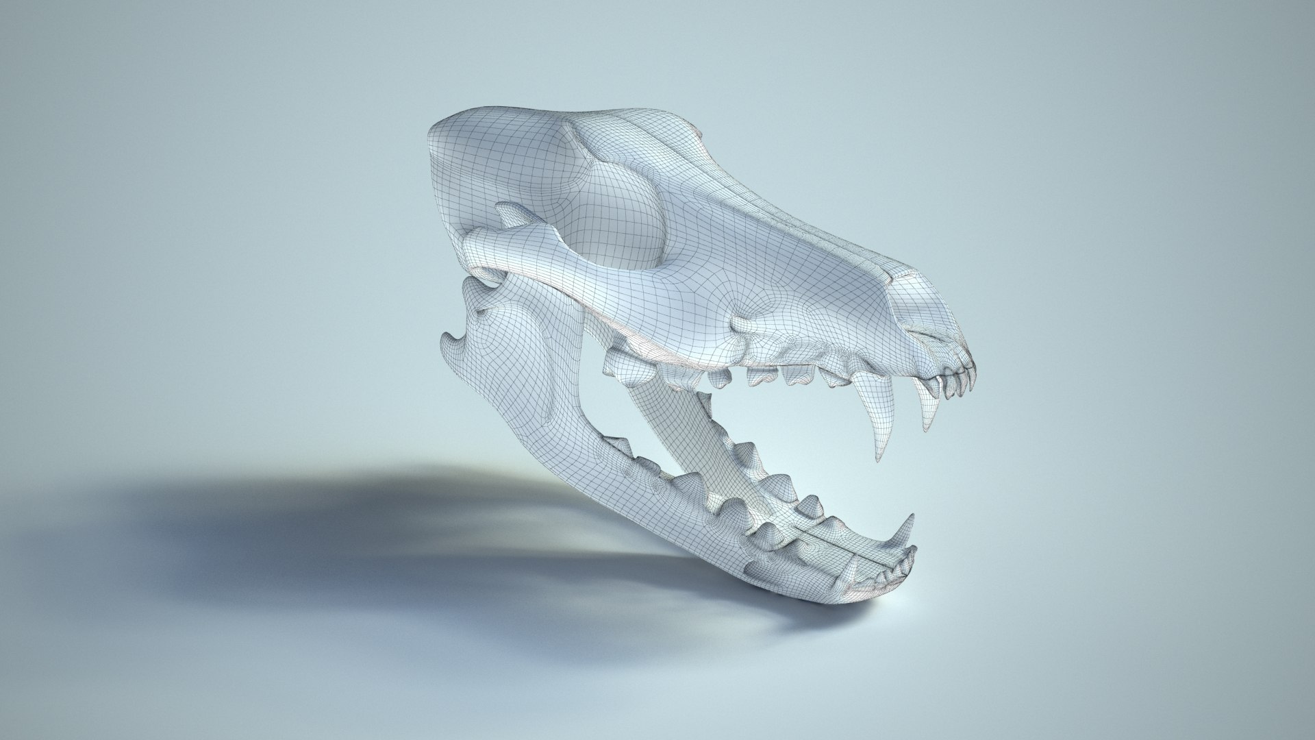 Wolf Skull 3d Max